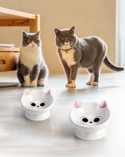 2Pcs Raised Cat Food Bowl Ceramic 15° Tilted Cat Food Bowls Protect Cat's Spine Anti Vomiting Backflow Prevention Bowls for Adult, Kitten, and Small Dogs, Pink - Image 5