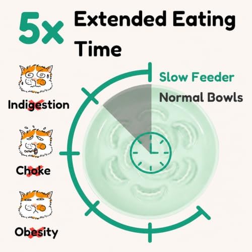 Slow Feeder Cat Bowls with Bamboo Stand, Ceramic Elevated Pet Food Plates for Cats and Small Dogs, Raised Non-Slip Feeder (Green/6.3") - Image 3