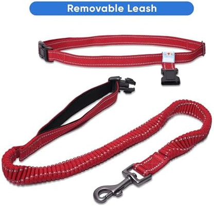 Pawtitas Reflective Red Running Handsfree Puppy or Dog Leash Padded Handle, 5 ft., Medium - Image 6