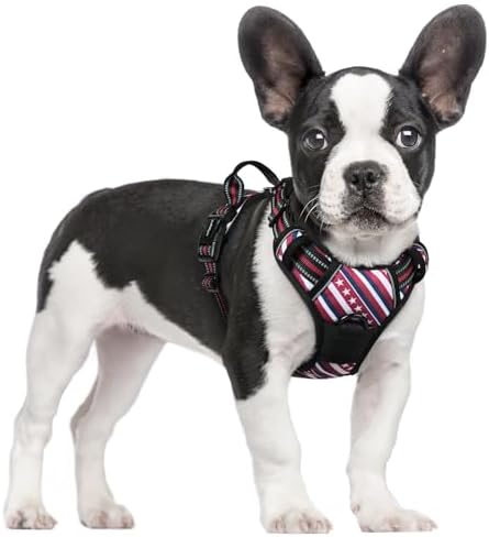 rabbitgoo Dog Harness, No Pull for Small Dogs with 2 Leash Clips, Pet Vest by rabbitgoo