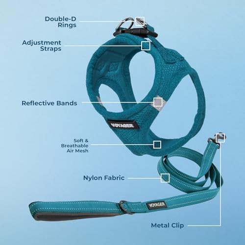 Best Pet Supplies Voyager Step-in Air All Weather Mesh Harness and Reflective Dog 5ft Leash Combo with Neoprene Handle, for Small, Medium and Large Breed Puppies - Turquoise, Large - Image 3