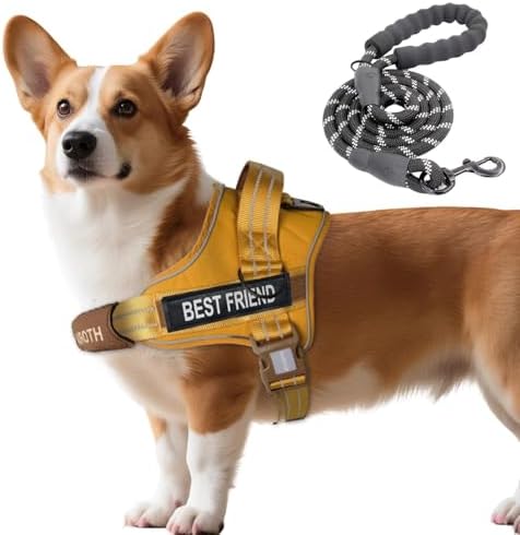 AUROTH Dog Harness and Leash Set Small Sized Dog, No Pull Escape Proof Vest by AurothPets