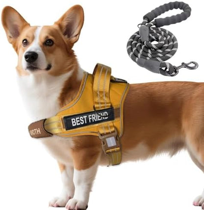 AUROTH Dog Harness and Leash Set Small Sized Dog, No Pull Escape Proof Vest by AurothPets