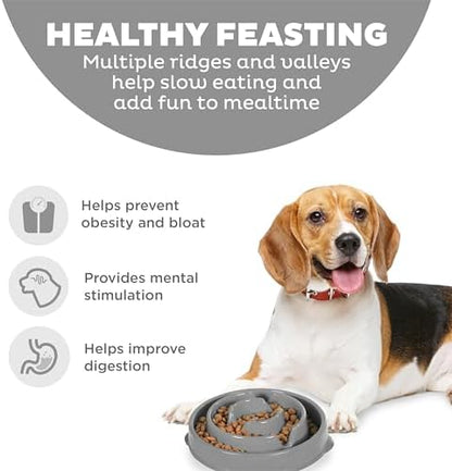 Outward Hound Fun Feeder Slo Bowl Dog Slow Feeder, Drop, Gray, 8.8" - Image 2