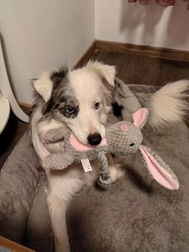 Plush Bunny Dog Toy, Squeaky Tug Toy with Rope Arms for Small Medium Dogs - Image 2