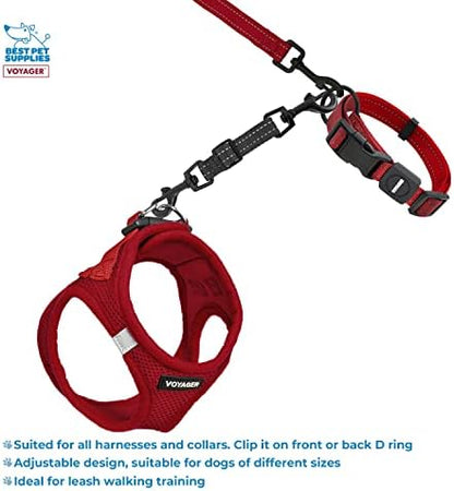 Best Pet Supplies Voyager Dog Collar Safety Clip with Dual Clasps, Collars and No Pull Harness Connectors, Training for Walking, Running, and Hiking, Safety Clip - Black - Image 3