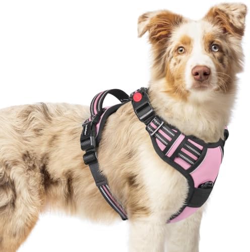 rabbitgoo Dog Harness Medium Sized, Updated Easy On & Off with 3 Buckles by rabbitgoo
