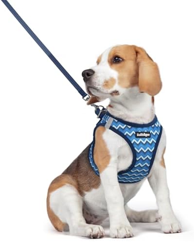 rabbitgoo Dog Harness Medium Sized and Leash Set, Step-in Puppy Pet Vest by rabbitgoo