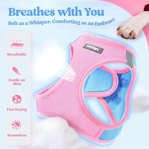 rabbitgoo Dog Harness Medium Sized and Leash Set, Step-in Puppy Pet Vest - Image 3