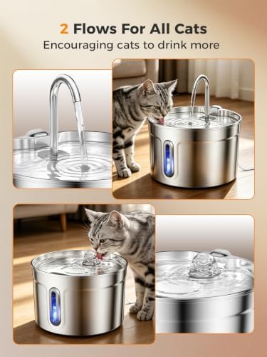 Stainless Steel Cat Water Fountain - 74oz/2.2L Ultra-Silent - Image 2