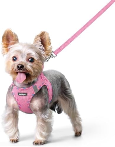 rabbitgoo Dog Harness Small Sized and Leash Set, Step-in Puppy Pet Vest by rabbitgoo
