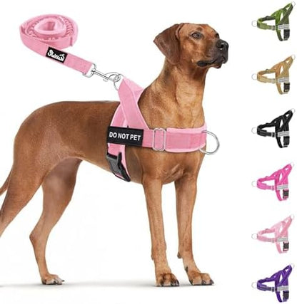 SlowTon No Pull Dog Harness and Leash Set - Heavy Duty, Soft Padded by SlowTon