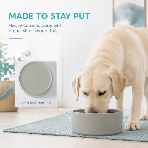 Havniva Ceramic Dog Bowls, 8.3” Dog Food and Water Bowl, Pet Feeding Bowl - Image 4