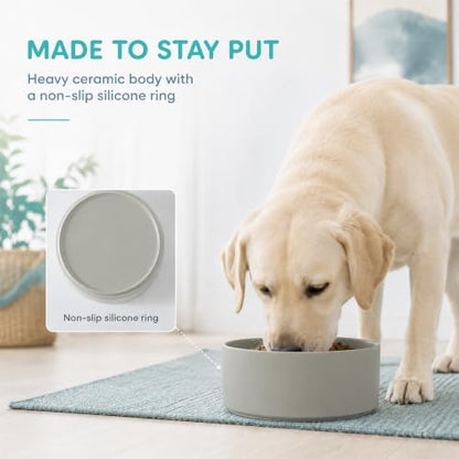 Havniva Ceramic Dog Bowls, 8.3” Dog Food and Water Bowl, Pet Feeding Bowl - Image 4