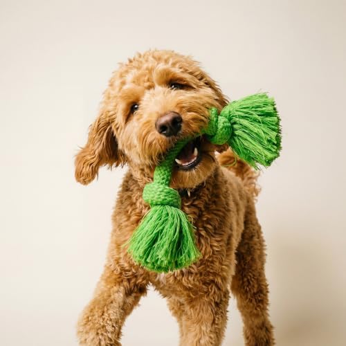 Playology Tug Rope Dog Toys for Medium Dogs - Medium, Sweet Potato Scent - Image 3