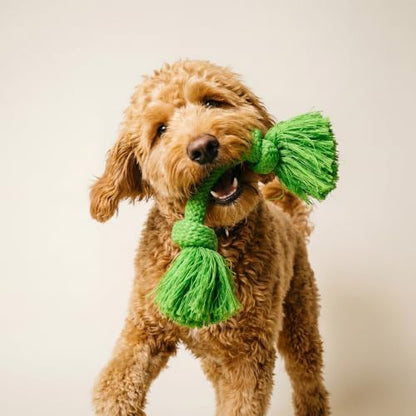 Playology Tug Rope Dog Toys for Medium Dogs - Medium, Sweet Potato Scent - Image 3