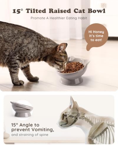 Raised Cat Food Bowl Ceramic 15° Tilted Cat Food Bowls Protect Cat's Spine Anti Vomiting Backflow Prevention Bowls for Adult Kitty, Kitten, and Small Dogs, Grey - Image 3