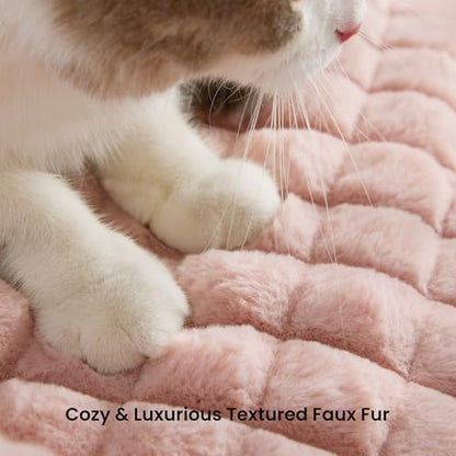 Cat Couch Bed with Fluffy Faux Rabbit Fur for Indoor Cats, 24 Inch - Image 4