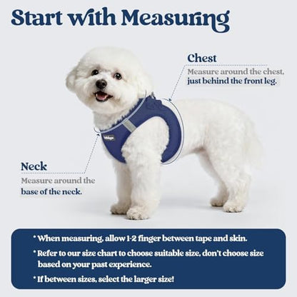 rabbitgoo Dog Harness Medium Sized and Leash Set, Step-in Puppy Pet Vest - Image 2