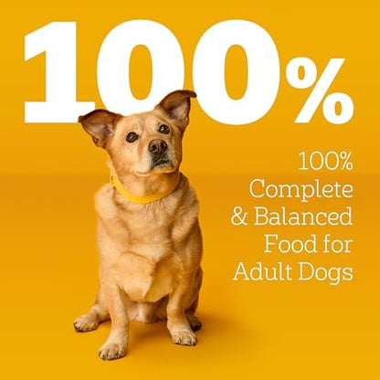 Pedigree Choice Cuts Wet Dog Food Pouch, Protein Variety, 3.5 oz, 18 Count - Image 5