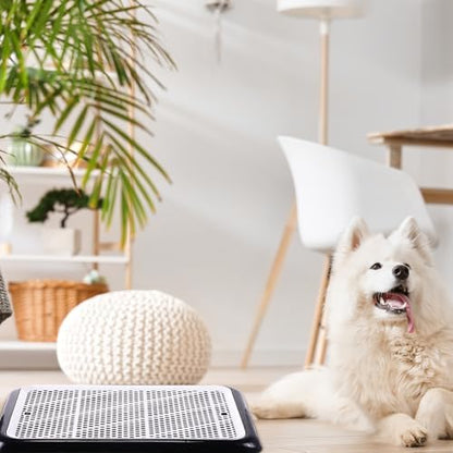 Mifoci 1 Pcs Dog Pee Pad Holder Potty Tray Portable Dog Litter Box Toilet Training for Small Medium Large Pet Puppy Indoor Outdoor - Image 7