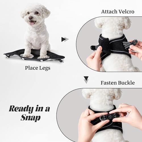 No Pull Dog Puppy Harness and Leash Set Reflective Mesh Vest X-Small - Image 4