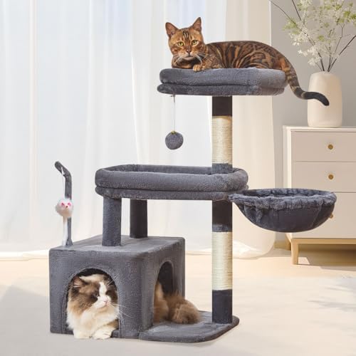 Taoqimiao 32.2in Cat Tree with Toy, Small Cat Tower for Indoor Cats, MS043G by Taoqimiao