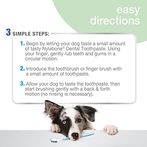 Nylabone Advanced Oral Care Natural Toothpaste Peanut Butter 2.5 oz. (1 Count) - Image 3