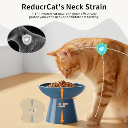 LoeJan Ceramic Cat Bowls, Elevated Cat Food and Water Bowls Set, Extra Wide and Raised Ceramic Bowls, Anti-Vomit Whisker-Free Pressure Cat Feeder for Kittens to Adult Cats - Image 4