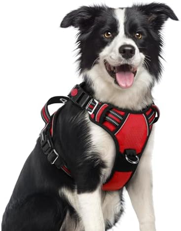 rabbitgoo Dog Harness Medium Sized, No Pull 3 Buckles Easy On & Off by rabbitgoo