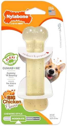 Nylabone Flexi Chew Gumabone Dog Chew Toy, Chicken Flavor, Small by Nylabone