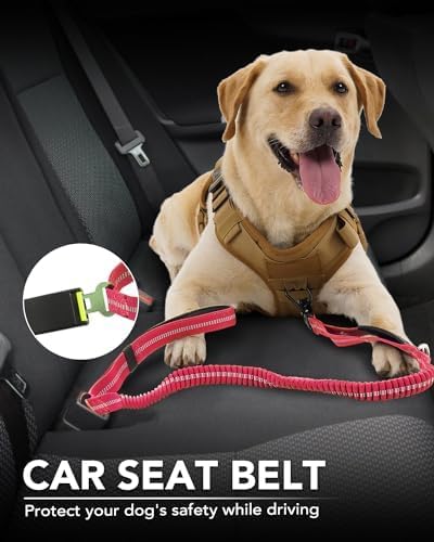 Joytale Tactical Dog Leash Heavy Duty, 4-6FT Shock Absorbing Bungee Lead with 2 Padded Handle, Metal Carabiner Clip, Car Seatbelt, Strong No Pull Leash for Medium Large X-Large Dogs, Hot Pink