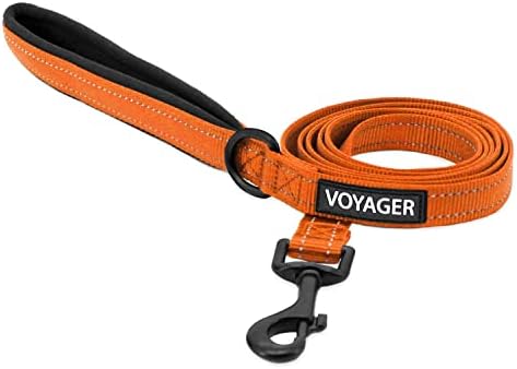 Best Pet Supplies Voyager Nylon Dog Leash - Orange, Medium by BestPetSuppliesLLC