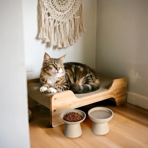 CEEFU 2-Pack Extra Wide Elevated Ceramic 6.2" Shallow Cat Food Bowls - Image 5