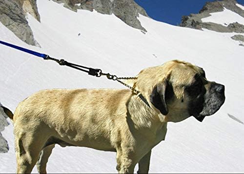 BUNGEE DOG LEASH EXTENSION – Patented Shock Absorber Attachment Protects You and Your Dogs – Works with ANY Leash & Collar or Harness – a MUST for Retractable Leashes – PICK SIZE/COLOR BELOW - Image 5
