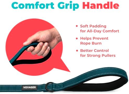 Best Pet Supplies Voyager Nylon Dog Leash - Blue, Medium - Image 5