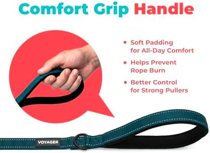 Best Pet Supplies Voyager Nylon Dog Leash - Blue, Medium - Image 5