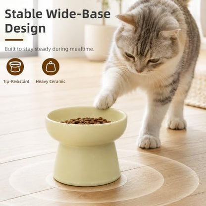 Casfuy Non-Skid Whisker-Friendly Elevated Ceramic Cat Food & Water Bowl - Image 4