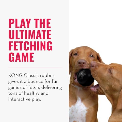 KONG Extreme Ball, Indestructible Rubber Dog Ball, for Small Dogs - Image 4