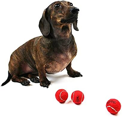 Midlee MINI Dog Tennis Balls, Red, 1.5" 12-Pack- Fetch Ball Laucher Pet Small Tennis Balls - Image 3