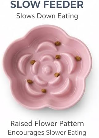 Elevated Ceramic Slow Feeder Cat Bowl, 15° Tilted Feeding Dish Helps Reduce Fast Eating and Vomiting, Whisker-Friendly Heavy Smooth Matte Ceramic, Dishwasher Safe (Blue/Pink) - Image 5