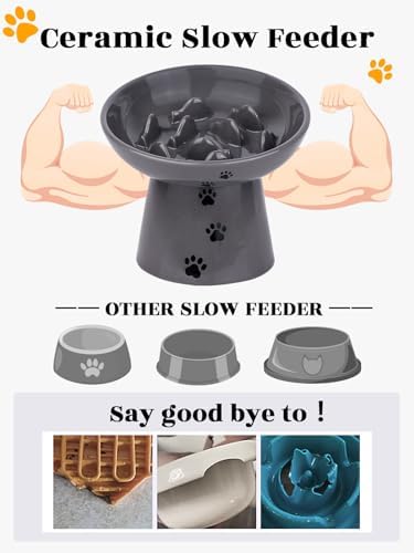 Y YHY Slow Feeder Cat Bowl, Ceramic Cat Slow Feeder Bowl, 6 Inches, Elevated, Anti Vomiting for Dry and Wet Food, Gray - Image 5
