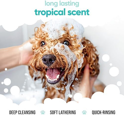 Tropical Dog Shampoo by Buddycare | Deep Cleansing Shampoo for Dogs | Tropical Scented | with Aloe Vera and Pro Vitamin B5 (50.72oz) - Image 4