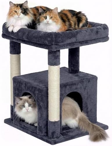 23.6" Cat Tree for Large Cat, 19 * 15.8 in Large Perch, Dark Gray by KinoTail