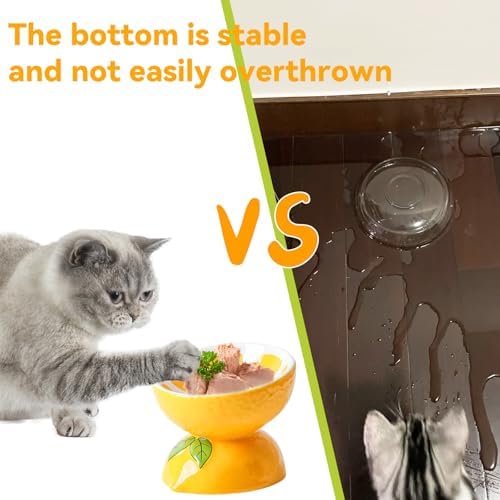 Elevated Cat Bowl Ceramic Raised Cat Food Water Bowls for Indoor Kitten - Image 4