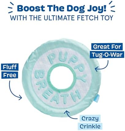 BarkBox Puppy Breath Mint Dog Toy - for Dogs - Image 4