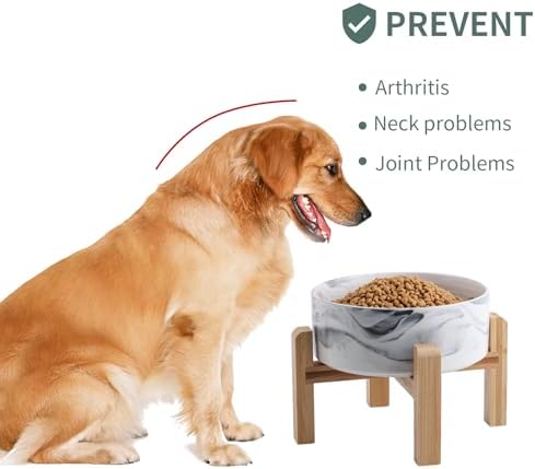 Elevated/Raised Dog Bowl Ceramic with Wood Stand for Small Medium Breed,Dog Food Water Dish Heavy, 6 in Non Slip Modern Cute Porcelain Pet Bowl Marble Grey - Image 4