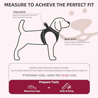 PUPTECK Dog Harness, Collar and Leash Set No Pull for Small Medium Sized - Image 2
