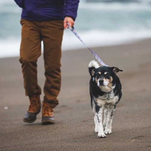 Ruffwear, Front Range Dog Leash, 5 ft Lead, Reef Fish - Image 4