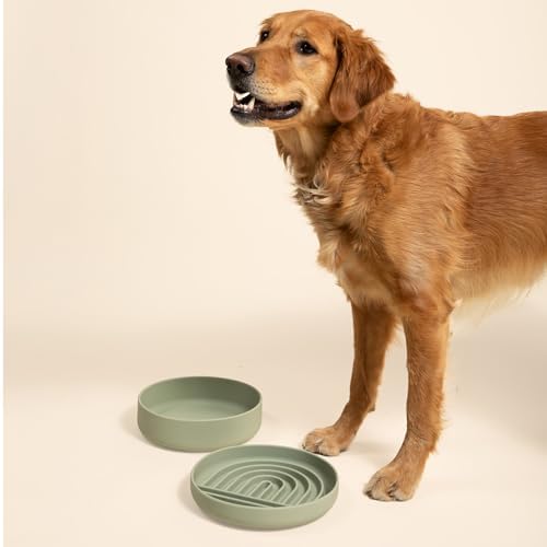 Slow Feeder Dog Bowl - Silicone Dog Bowl, Large, 9.5" x 1.5" - Sage - Image 4